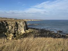 Looking up the coast - we can just see the two piers marking the entrance to the Tyne
